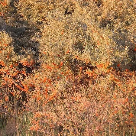 Ferienwohnung-sonnenkliff-in-gross-zicker-halbinsel-moenchgut