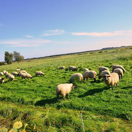 아파트 Ferienwohnung-sonnenkliff-in-gross-zicker-halbinsel-moenchgut