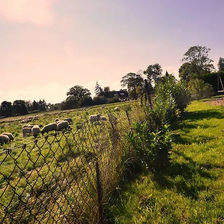 Ferienwohnung-sonnenkliff-in-gross-zicker-halbinsel-moenchgut 아파트