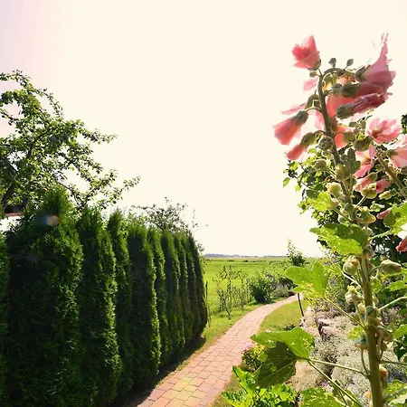 Ferienwohnung-sonnenkliff-in-gross-zicker-halbinsel-moenchgut *