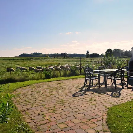 Ferienwohnung-sonnenkliff-in-gross-zicker-halbinsel-moenchgut *