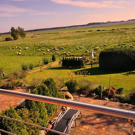 아파트 Ferienwohnung-sonnenkliff-in-gross-zicker-halbinsel-moenchgut